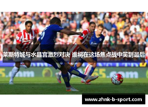 莱斯特城与水晶宫激烈对决 谁将在这场焦点战中笑到最后 莱斯特城与水晶宫激烈对决 谁将在这场焦点战中笑到最后