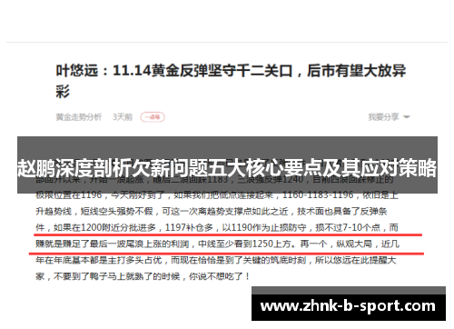 赵鹏深度剖析欠薪问题五大核心要点及其应对策略