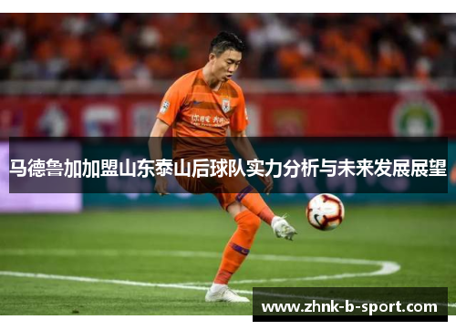 马德鲁加加盟山东泰山后球队实力分析与未来发展展望