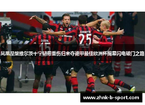 凤凰涅槃维尔茨十字韧带重伤归来夺德甲最佳欧洲杯揭幕闪电破门之路 凤凰涅槃维尔茨十字韧带重伤归来夺德甲最佳欧洲杯揭幕闪电破门之路